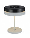 Toric table lamp